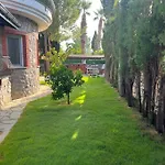 Oasis Tasin Zarafeti,modern Rahatlik ダラマン