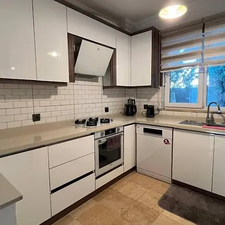 Oasis Tasin Zarafeti,modern Rahatlik *