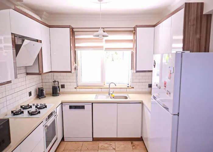 Oasis Tasin Zarafeti,modern Rahatlik Willa
