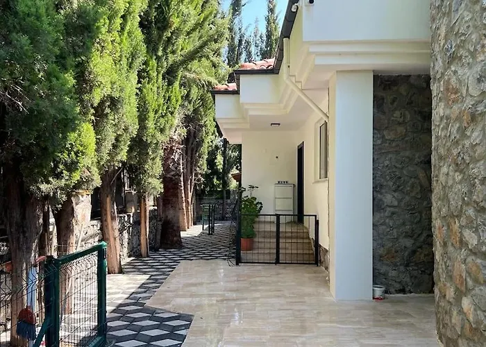 Villa Oasis Tasin Zarafeti,modern Rahatlik
