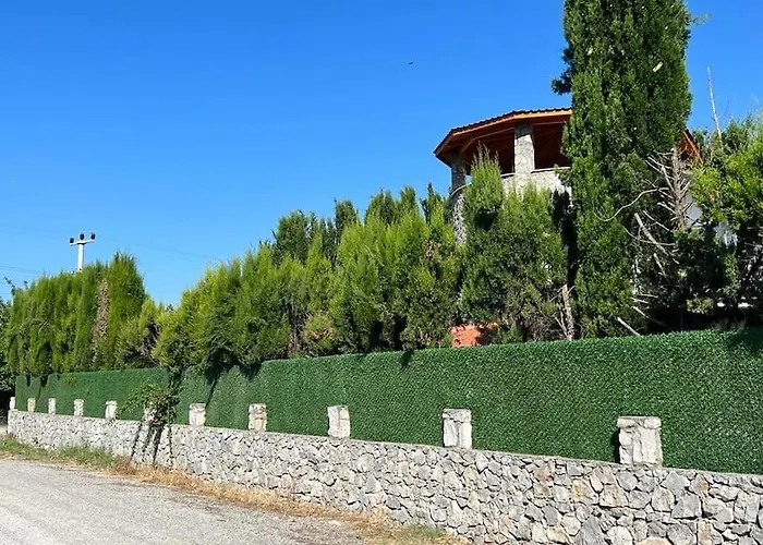 Oasis Tasin Zarafeti,modern Rahatlik Dalaman