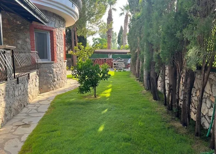 Oasis Tasin Zarafeti,modern Rahatlik 达拉曼