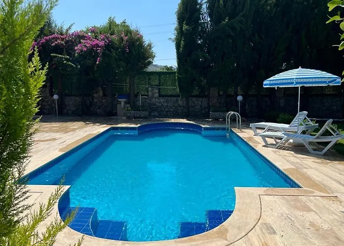 Oasis Tasin Zarafeti,modern Rahatlik *