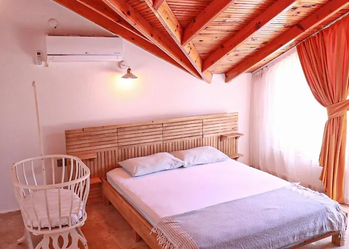 Oasis Tasin Zarafeti,modern Rahatlik