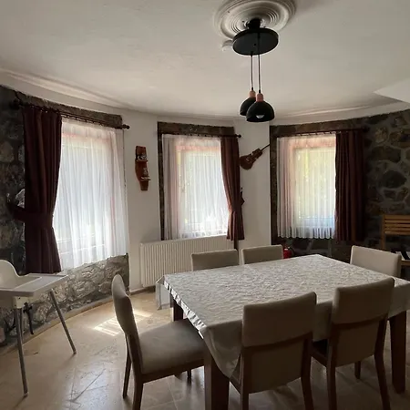 Villa Oasis Taşın Zarafeti,modern Rahatlık